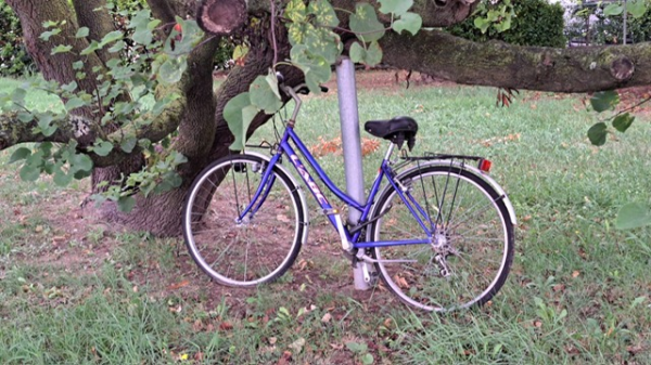 Lights